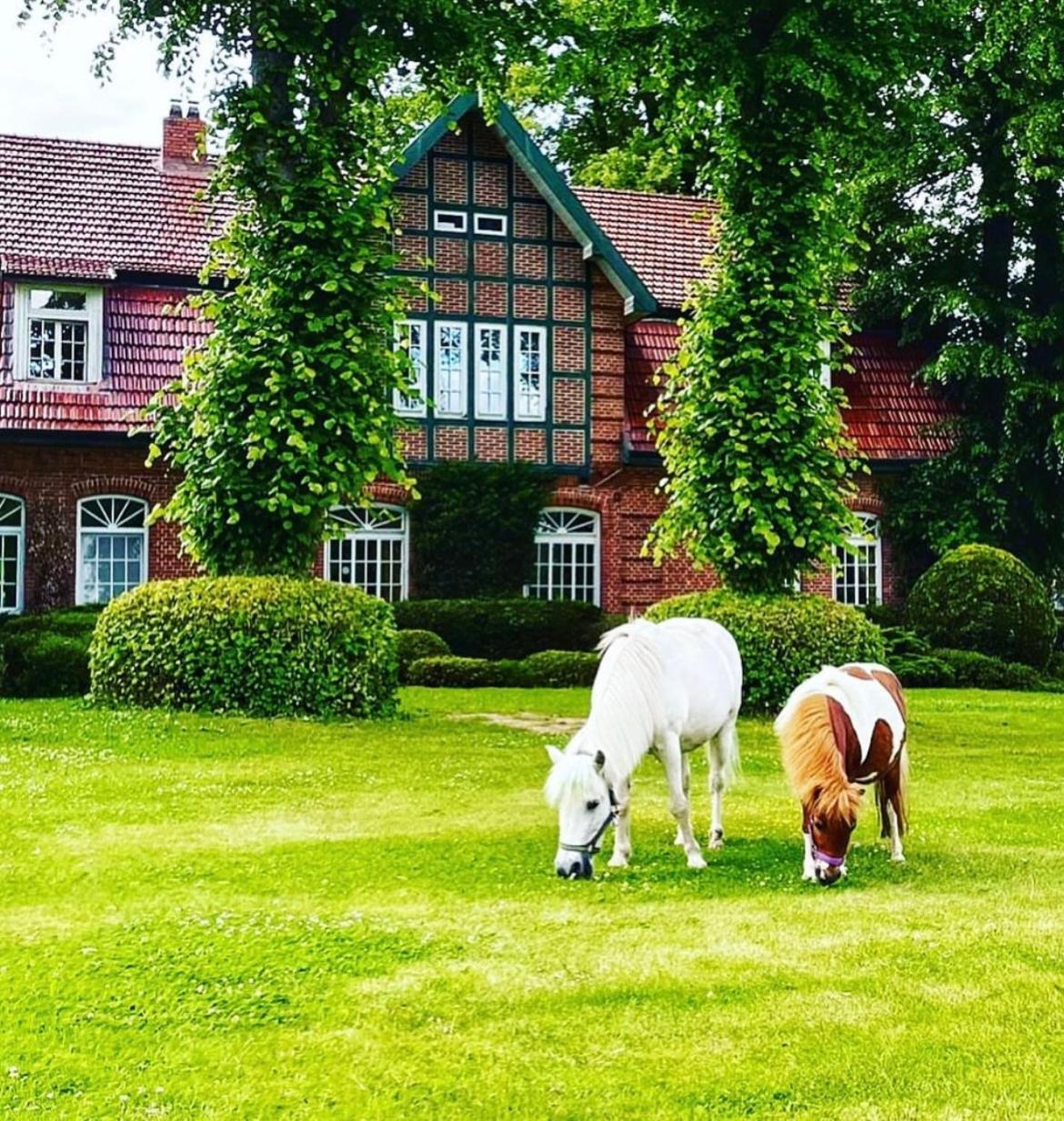 Hotel Hof Kirchhorst Gross Wittensee Buitenkant foto